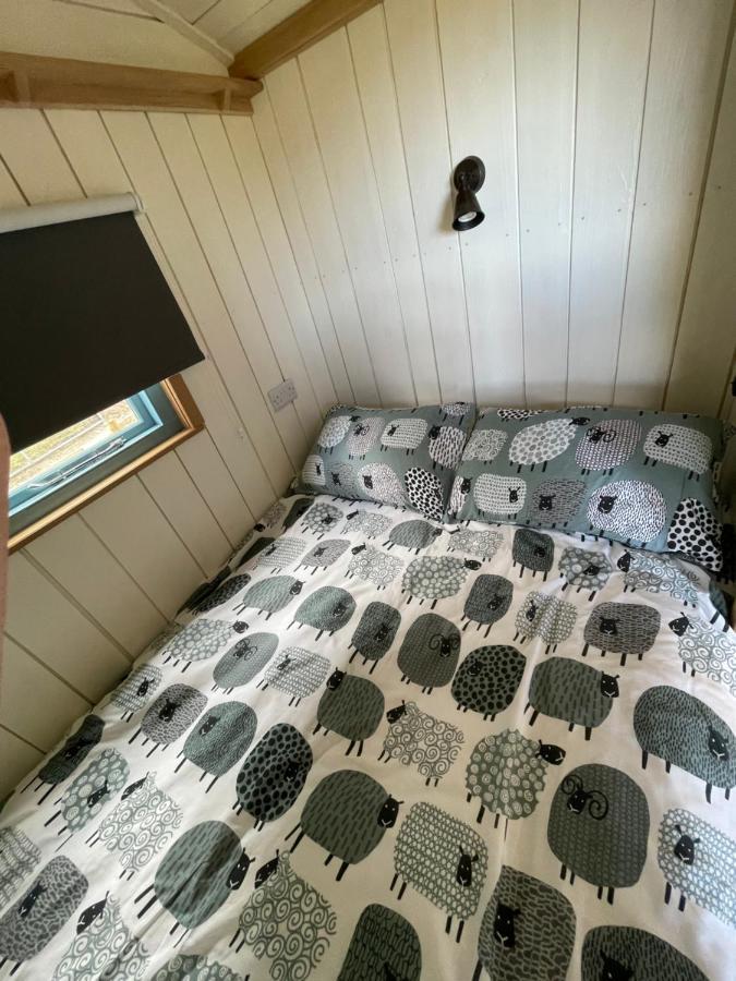 The Shepards Hut Apartment Llwyn-Dafydd ภายนอก รูปภาพ